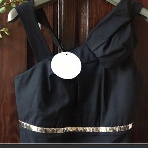 Chloe cocktail dress.